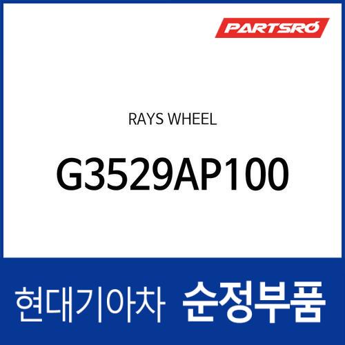 RAYS 휠 i30 (PD)