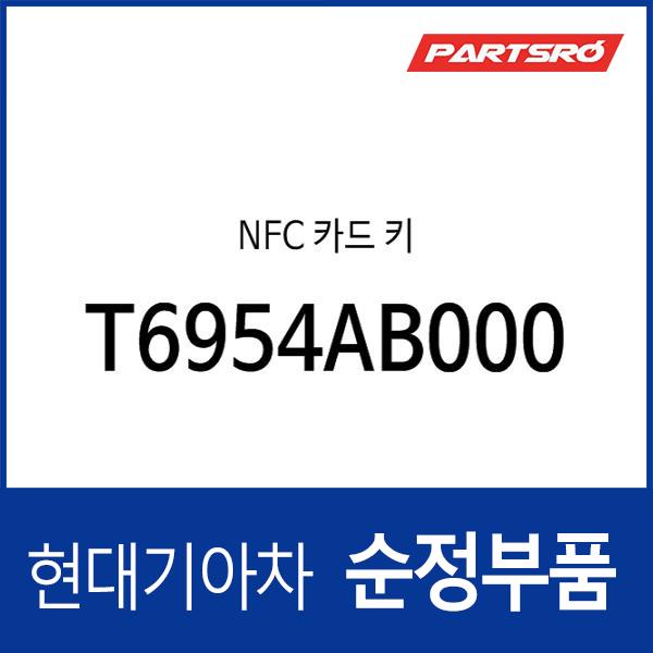 NFC 카드 키 (T6954AB000)