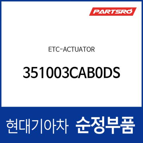 ETC－액츄에이터 (351003CAB0-DS)