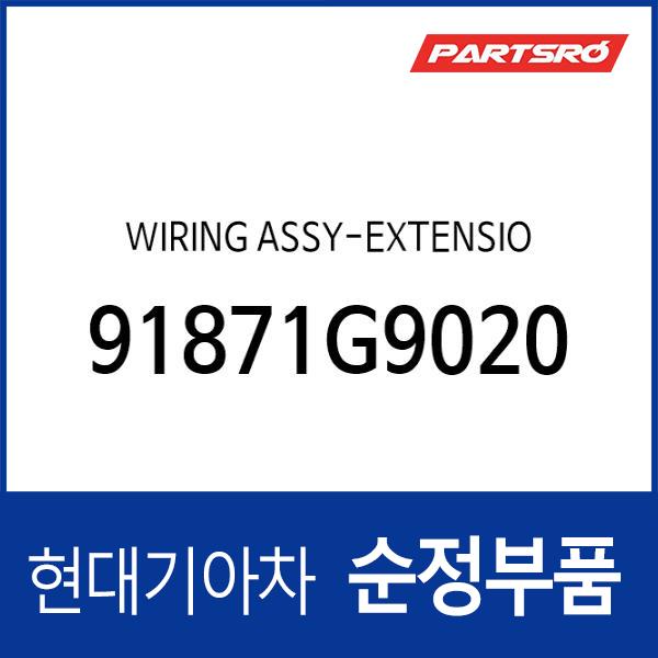 WIRING ASSY-EXTENSION
