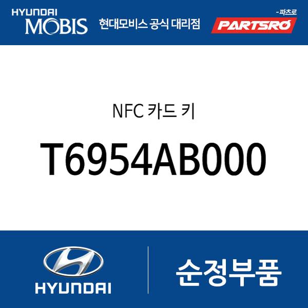 NFC 카드 키 (T6954AB000)