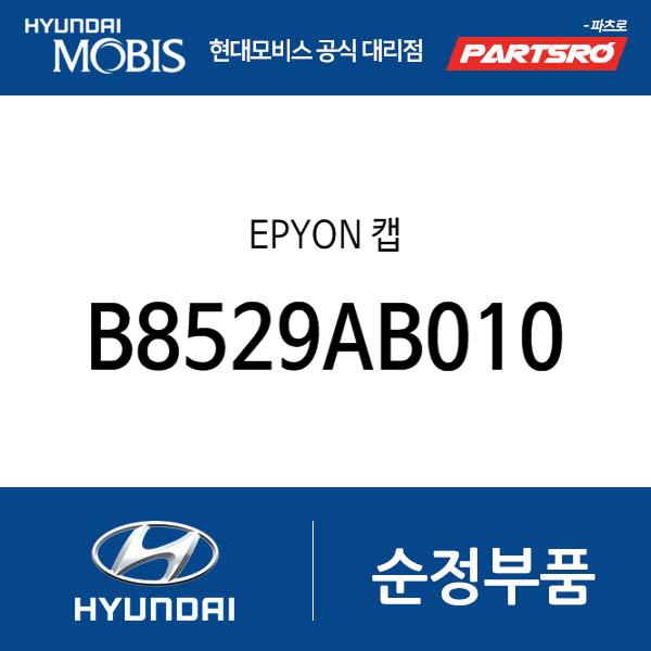 EPYON 캡 (B8529AB010)