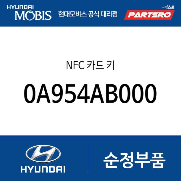 NFC 카드 키 (0A954AB000)