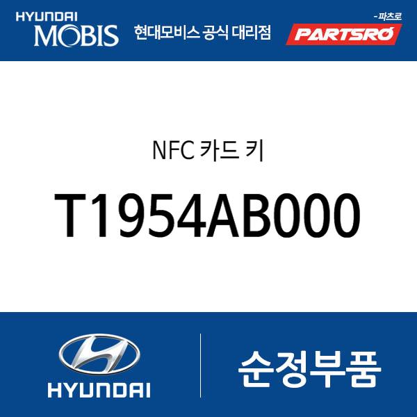 NFC 카드 키 (T1954AB000)