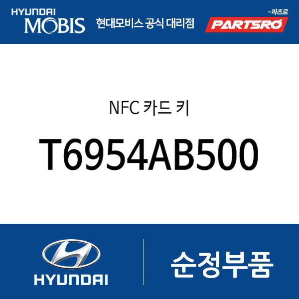NFC 카드 키 (T6954AB500)
