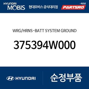 와이어링 하네스-배터리 시스템 그라운드 (375394W000)