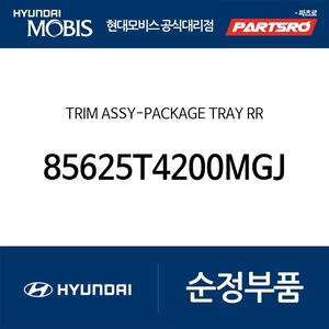 트림-패키지 트레이 제네시스 G90 (RS4)
