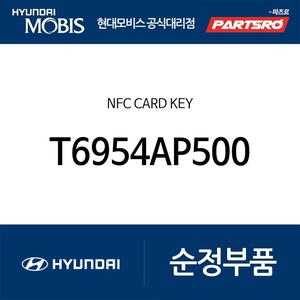 NFC 카드 키 (T6954AP500)