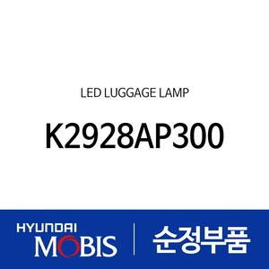LED 러기지 (K2928AP300)