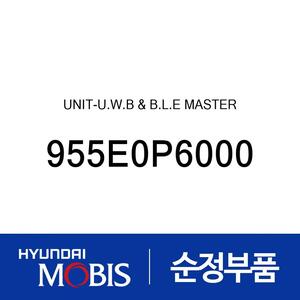 유니트 어셈블리-U.W.B &amp;amp; B.L.E 마스터 (955E0P6000)