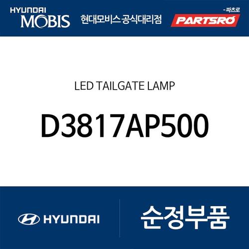 LED 테일게이트 램프 (D3817AP500)