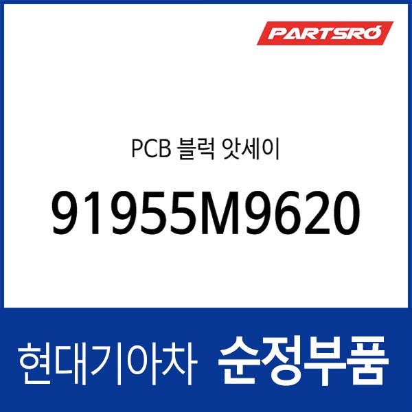PCB 블럭 앗세이 (91955M9620)
