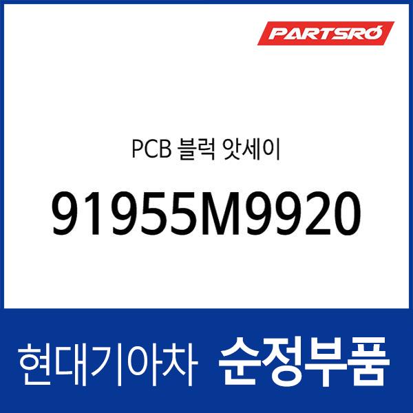 PCB 블럭 앗세이 (91955M9920)