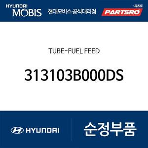 튜브-연료 피드 (313103B000-DS)