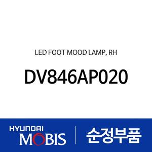 LED 풋 무드 램프,우 (DV846AP020)