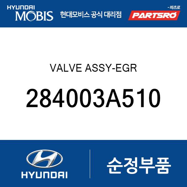 밸브 어셈블리-EGR (284003A510)